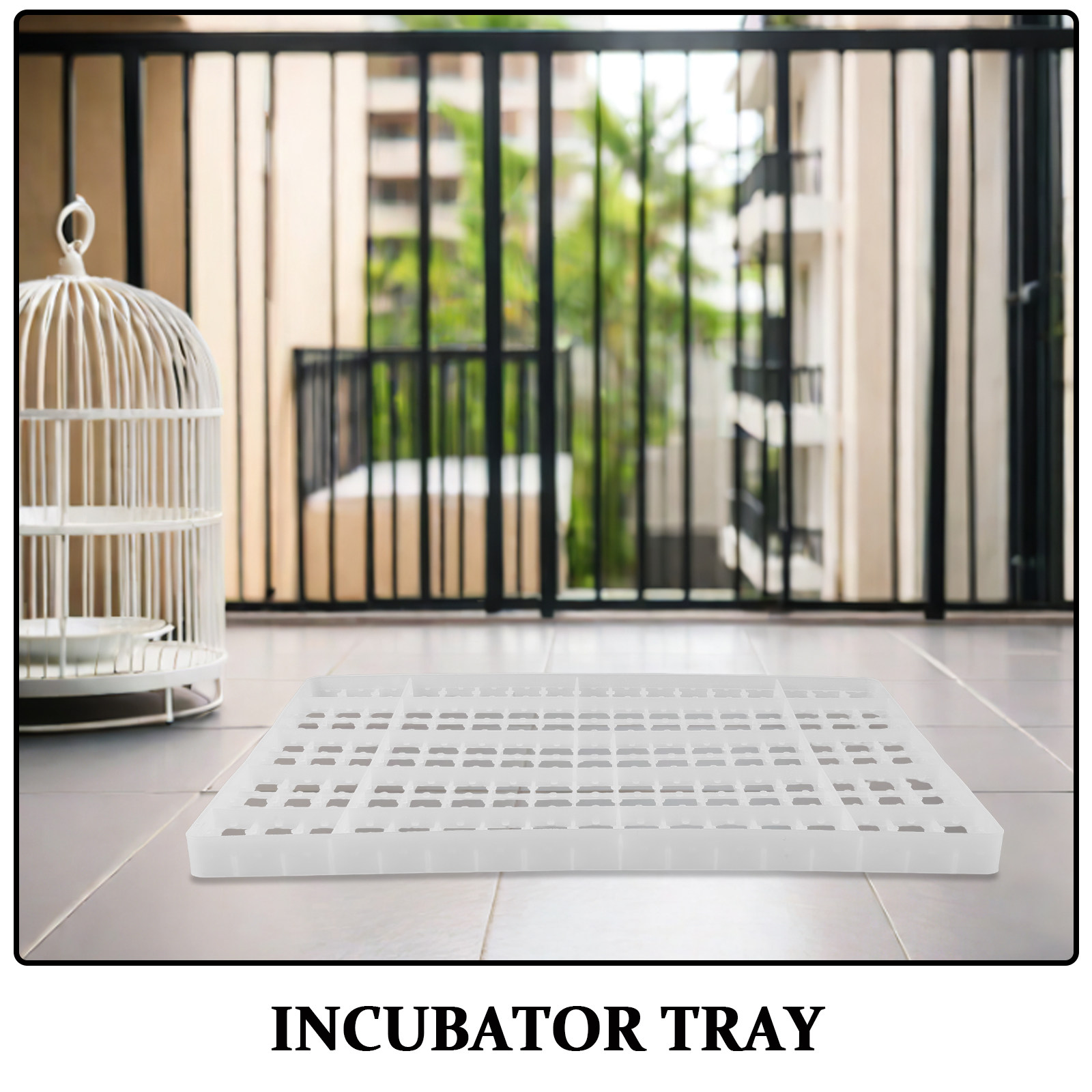Quail Egg Incubator - 2PCS Egg Incubator Tray Grid Chicken