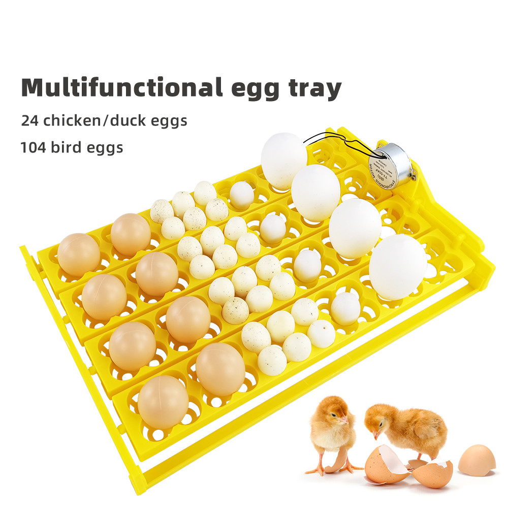 Quail Egg Incubator - 24pcs Eggs Incubator Tray Automatic Egg