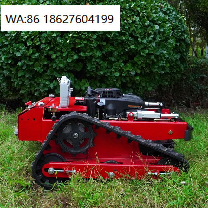 Agriculture Farming Robot - CE/ Self Propelled Lawn Mower AWY