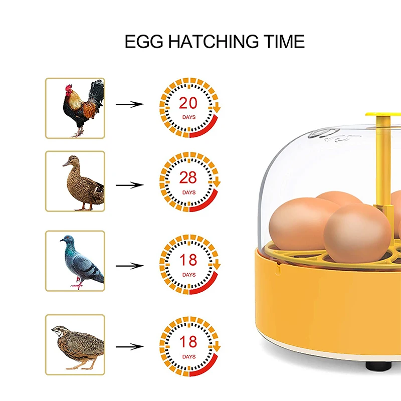Breeding Incubator Chicken Duc - Quail Egg Incubator review and price