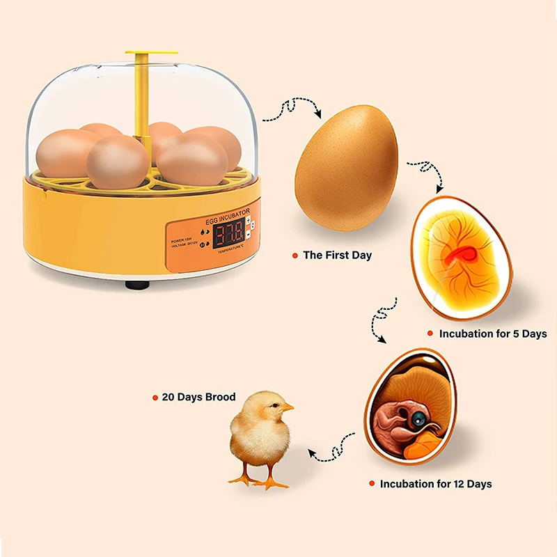 Breeding Incubator Chicken Duc - Quail Egg Incubator review and price