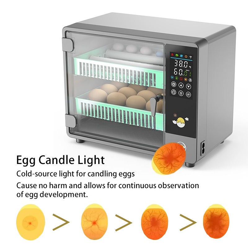 Factory Direct 2026 Fully Auto - Quail Egg Incubator review and price