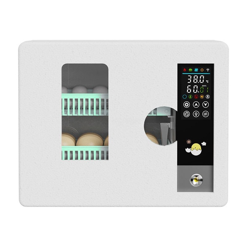 Factory Direct 2026 Fully Auto - Quail Egg Incubator review and price