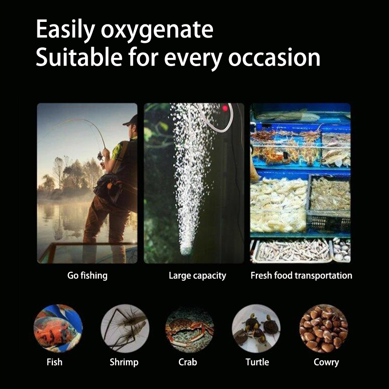 Mini Aquarium Air Pump Kit Oxy - Aquaculture Aerator Pump review and price