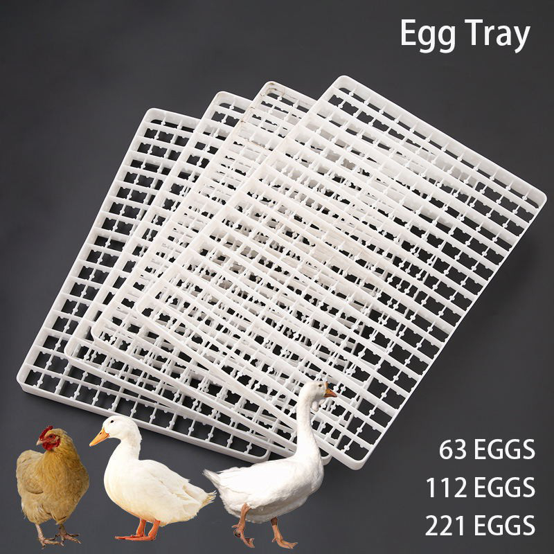 1Pcs Egg Tray For Incubator Au - Quail Egg Incubator review and price