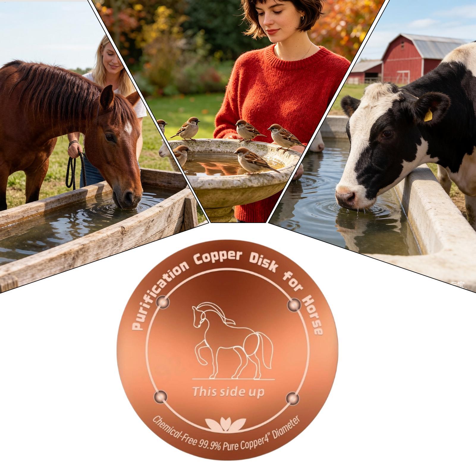 4 Inch Copper Purifier Cow Wat - Farming A review and price