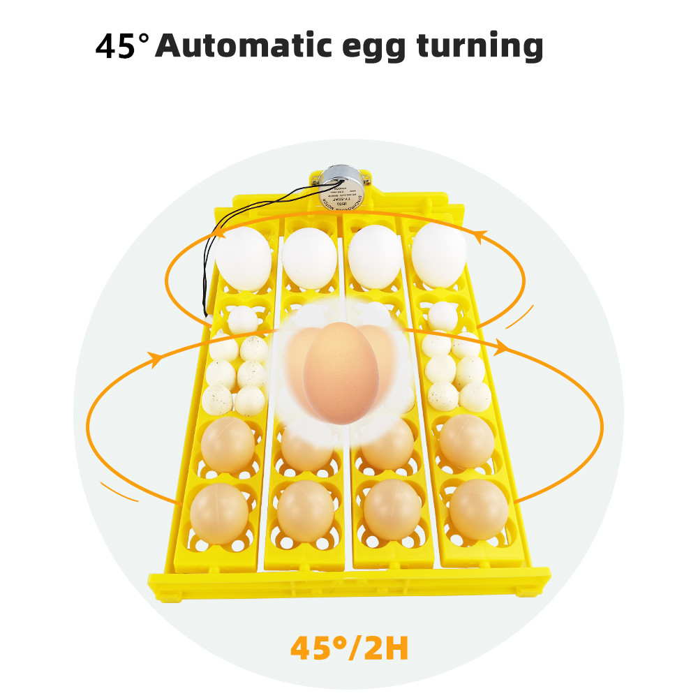 24pcs Eggs Incubator Tray Auto - Quail Egg Incubator review and price