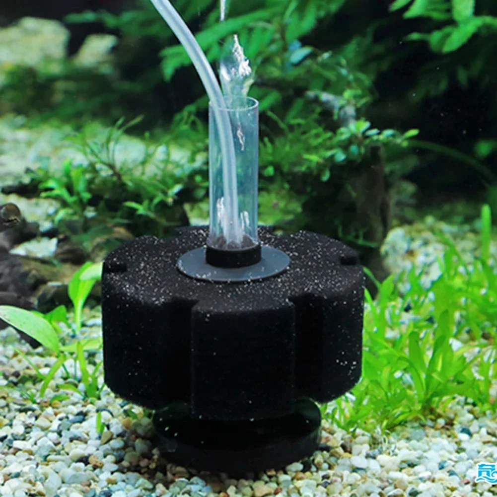 Aquarium Filter Sponge For Fis - Aquaculture Aerator Pump review and price