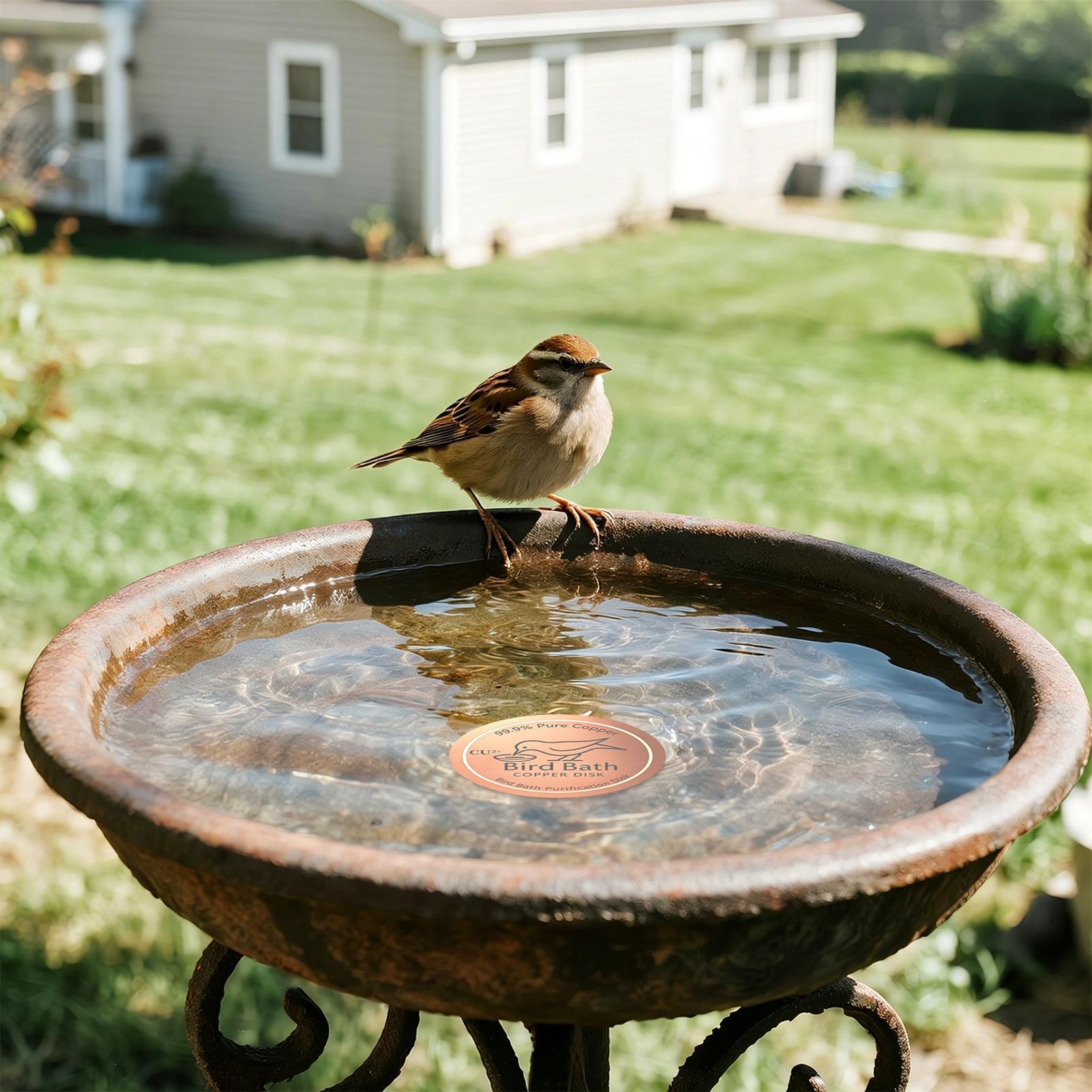 Bird Bath Copper Disc 0.6mm Th - Farming A review and price